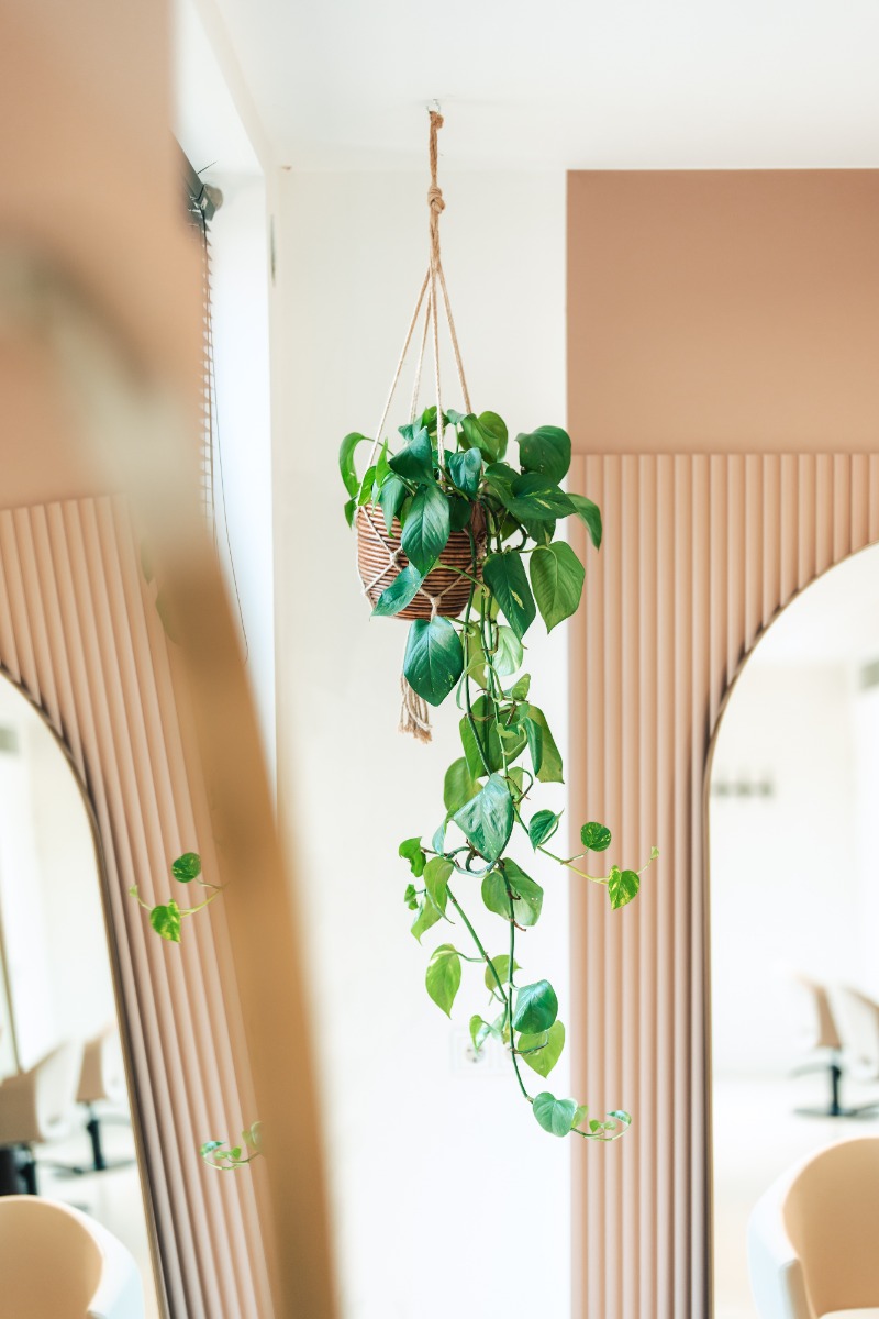 Стеновая панель под покраску Orac Decor Modern Hill W110 2000×250×16 фото в интерьере