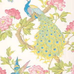 Обои Little Greene National Trust Papers Pavona - Blanche 0245PABLANC