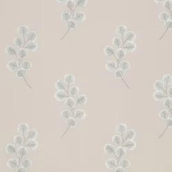 Обои Paint & Paper Library Botany Honesty Slate V 0360HOSLATE