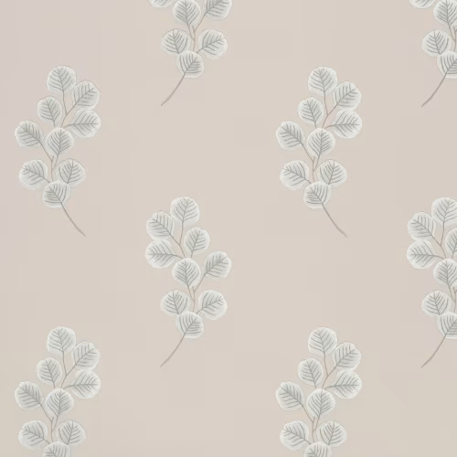 Обои Paint & Paper Library Botany Honesty Slate V 0360HOSLATE