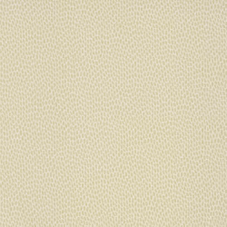 Обои Paint & Paper Library Botany Seedpod Willow V 0360SEWILLO