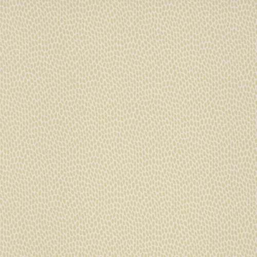 Обои Paint & Paper Library Botany Seedpod Willow V 0360SEWILLO