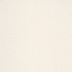 Обои Paint & Paper Library Botany Seedpod Sand 0360SESANDZ