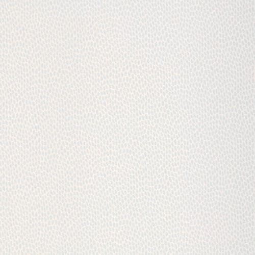 Обои Paint & Paper Library Botany Seedpod Steel III 0360SESTEEL