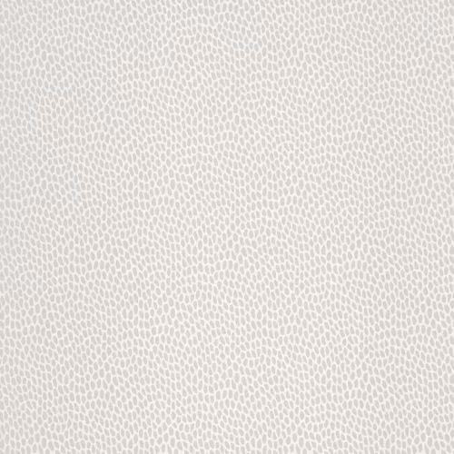 Обои Paint & Paper Library Botany Seedpod Salt 0360SESALTZ