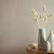 Обои 1838 Wallcoverings Willow Serena Barley 1703-115-04