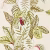 Обои Sanderson The Glasshouse Calathea 216631