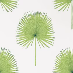 Обои Sanderson The Glasshouse Fan Palm 216636