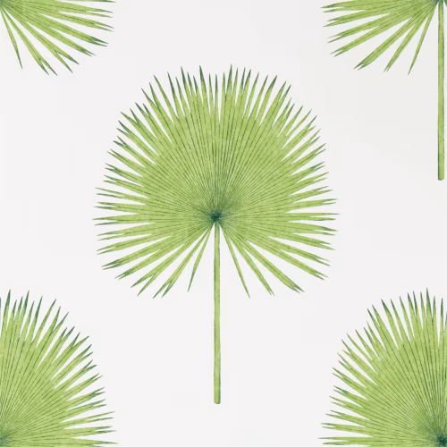 Обои Sanderson The Glasshouse Fan Palm 216636