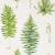 Обои Sanderson The Glasshouse Fernery 216633