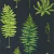 Обои Sanderson The Glasshouse Fernery 216634
