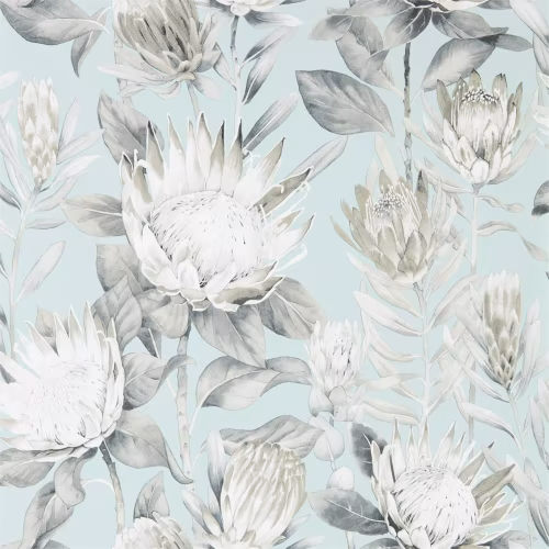 Обои Sanderson The Glasshouse King Protea 216645