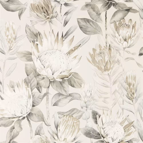 Обои Sanderson The Glasshouse King Protea 216647