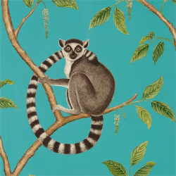 Обои Sanderson The Glasshouse Ringtailed Lemur 216663