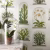 Обои Sanderson The Glasshouse Terrariums 216655 фото в интерьере
