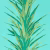 Обои Sanderson The Glasshouse Yucca 216648