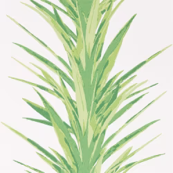 Обои Sanderson The Glasshouse Yucca 216649