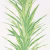 Обои Sanderson The Glasshouse Yucca 216649