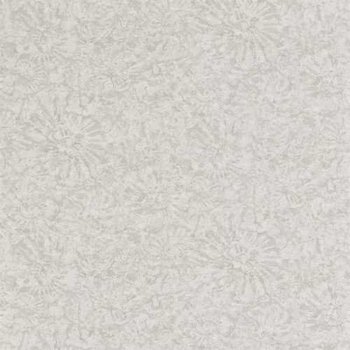 Обои Anthology 07 Ammonite EANW112560