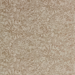 Обои Anthology 07 Ammonite EANW112561