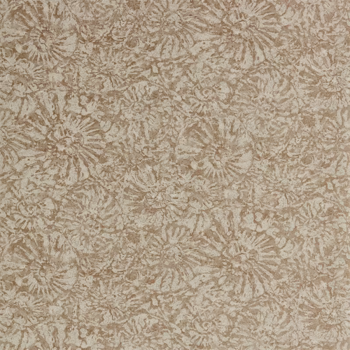 Обои Anthology 07 Ammonite EANW112561