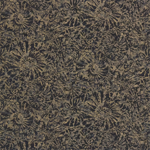 Обои Anthology 07 Ammonite EANW112562