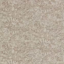 Обои Anthology 07 Ammonite EANW112564