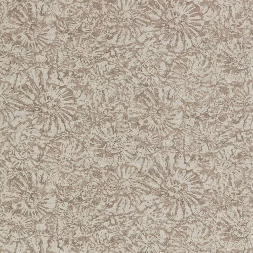 Обои Anthology 07 Ammonite EANW112564