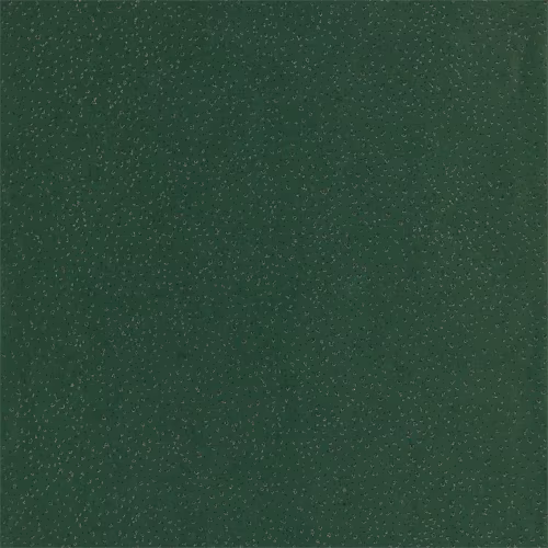 Обои Anthology 07 Foxy EANW112592