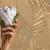 Обои Loymina Amazonia Monstera Ins5 004 фото в интерьере