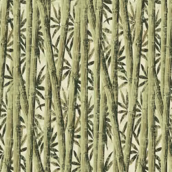 Обои Loymina Amazonia Bamboo Ins7 005/1