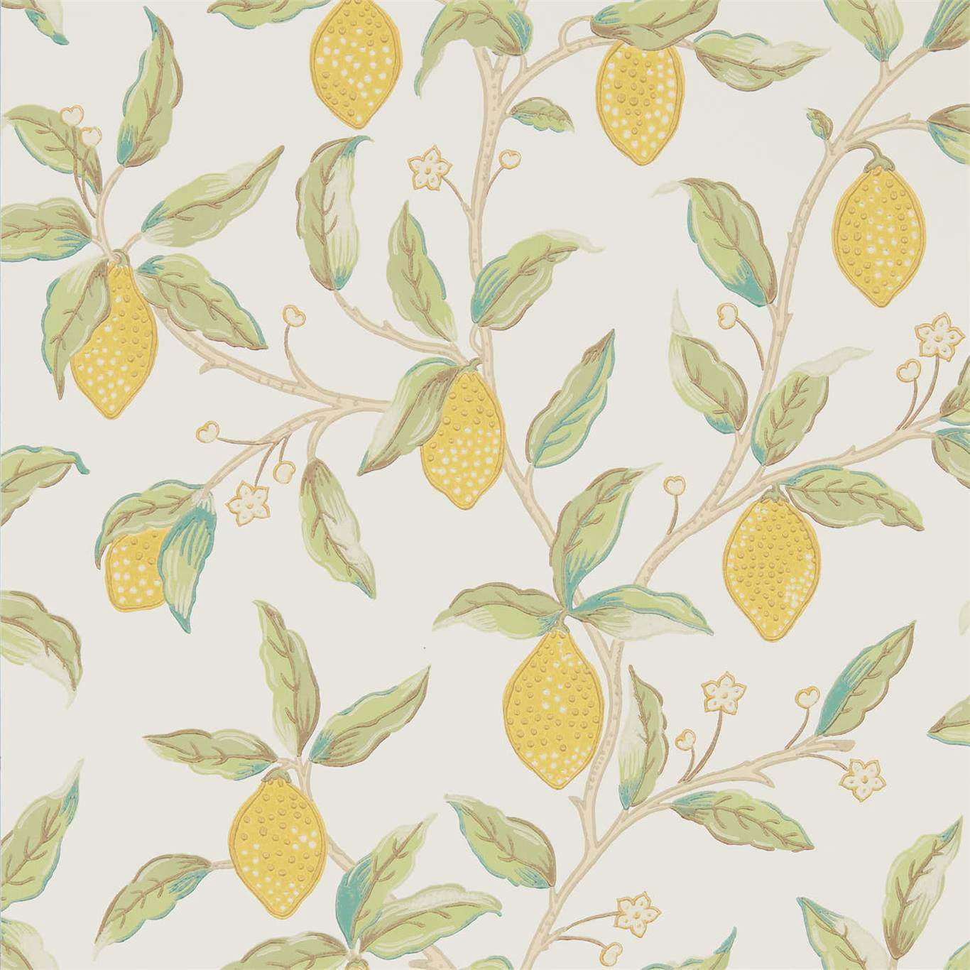 Обои Morris Archive V Melsetter Lemon Tree 216672