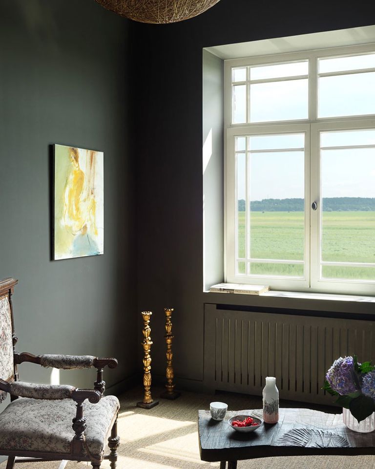 Краска Lanors Mons цвет Маслина Black Olive 40 Exterior 4.5 л фото в интерьере