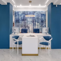 Краска Lanors Mons цвет Sapphire 111