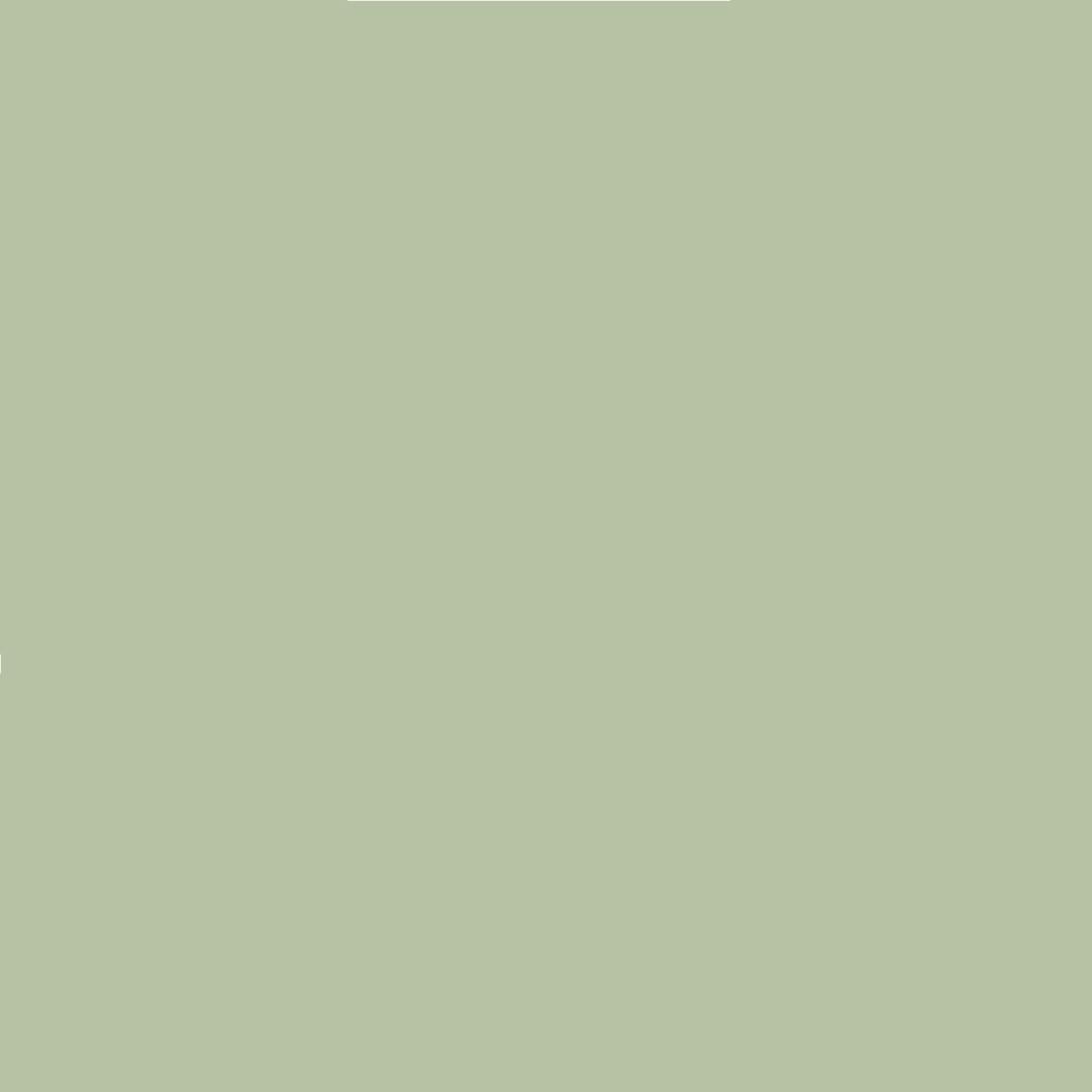 Краска Lanors Mons цвет Мякоть авокадо Avocado 172 Satin 1 л