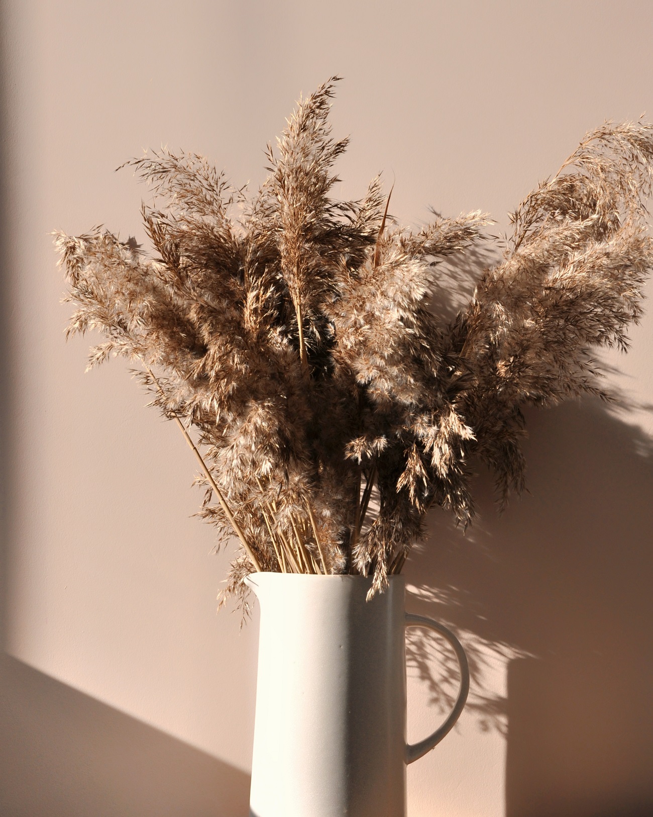 Краска Lanors Mons цвет Античная камея Antique cameo 191 Satin 1 л фото в интерьере