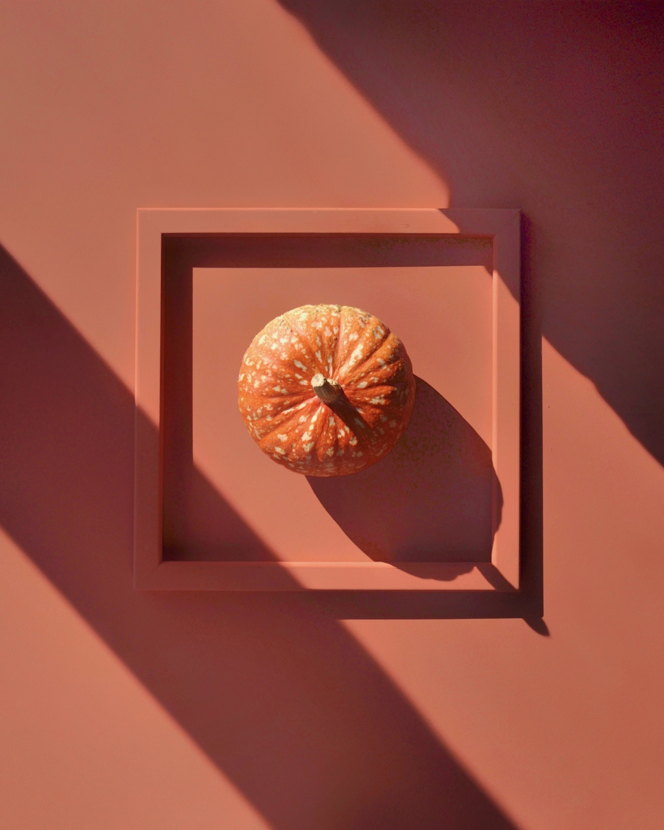 Краска Lanors Mons цвет Тыквенный соус Pumpkin sauce 192 Interior 0,2 л фото в интерьере