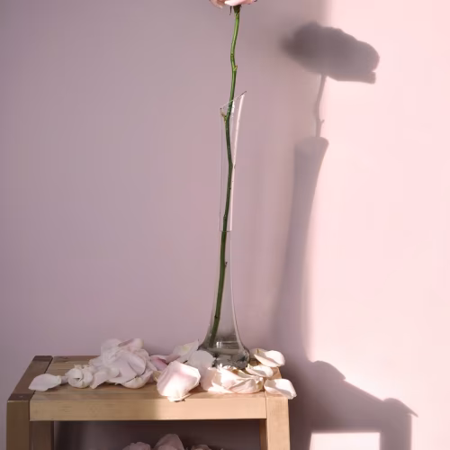 Краска Lanors Mons цвет Французский розовый French pink 195 Eggshell 1 л