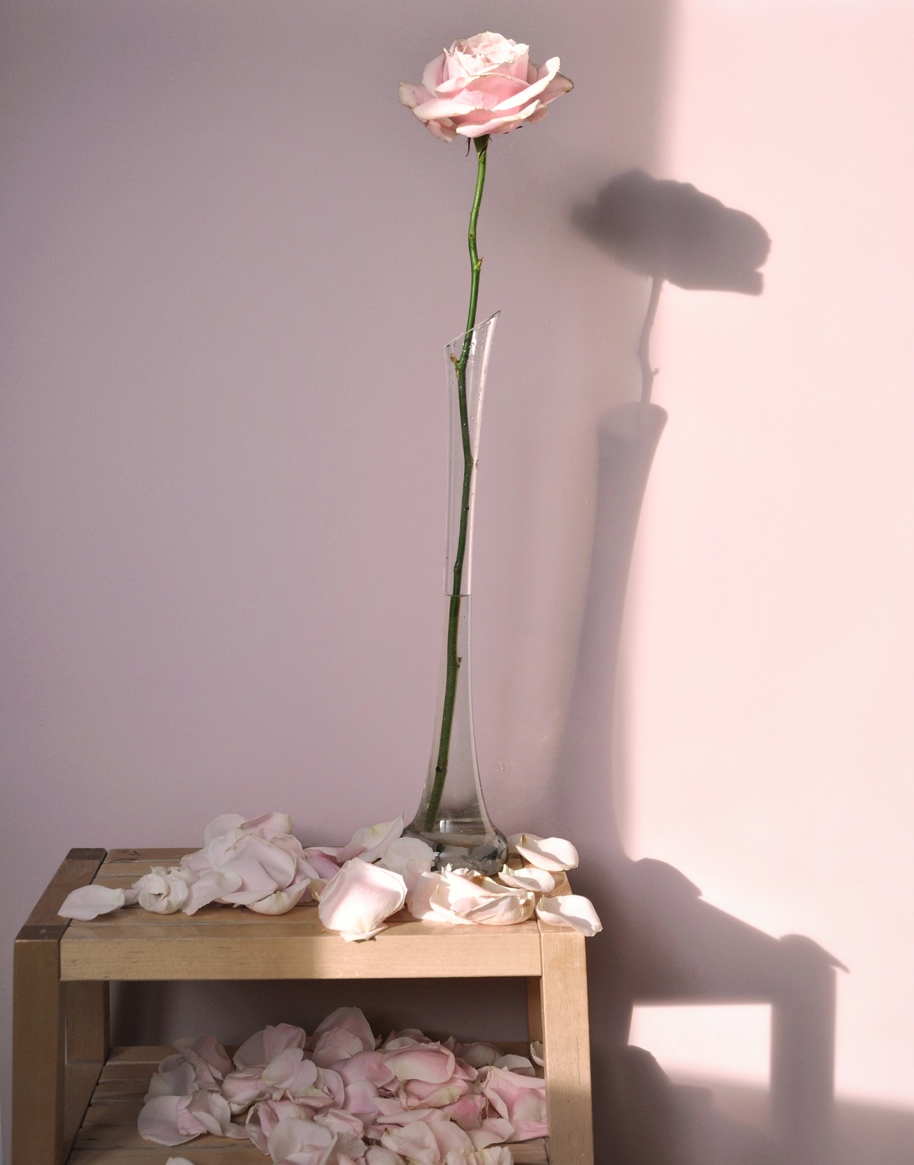 Краска Lanors Mons цвет Французский розовый French pink 195 Exterior 4.5 л фото в интерьере