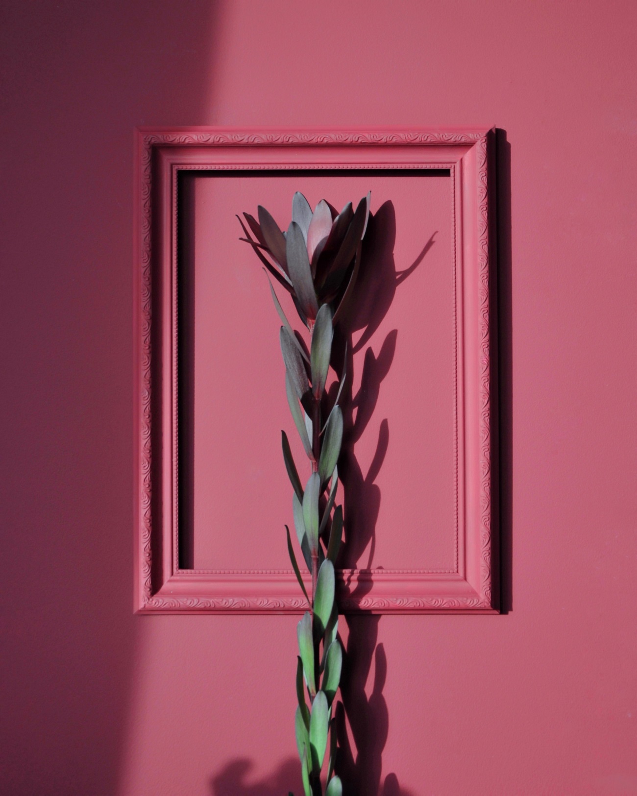 Краска Lanors Mons цвет Бирманский рубин Burmese ruby 197 Satin 1 л фото в интерьере