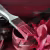 Краска Lanors Mons цвет Бирманский рубин Burmese ruby 197 Exterior 4.5 л фото в интерьере
