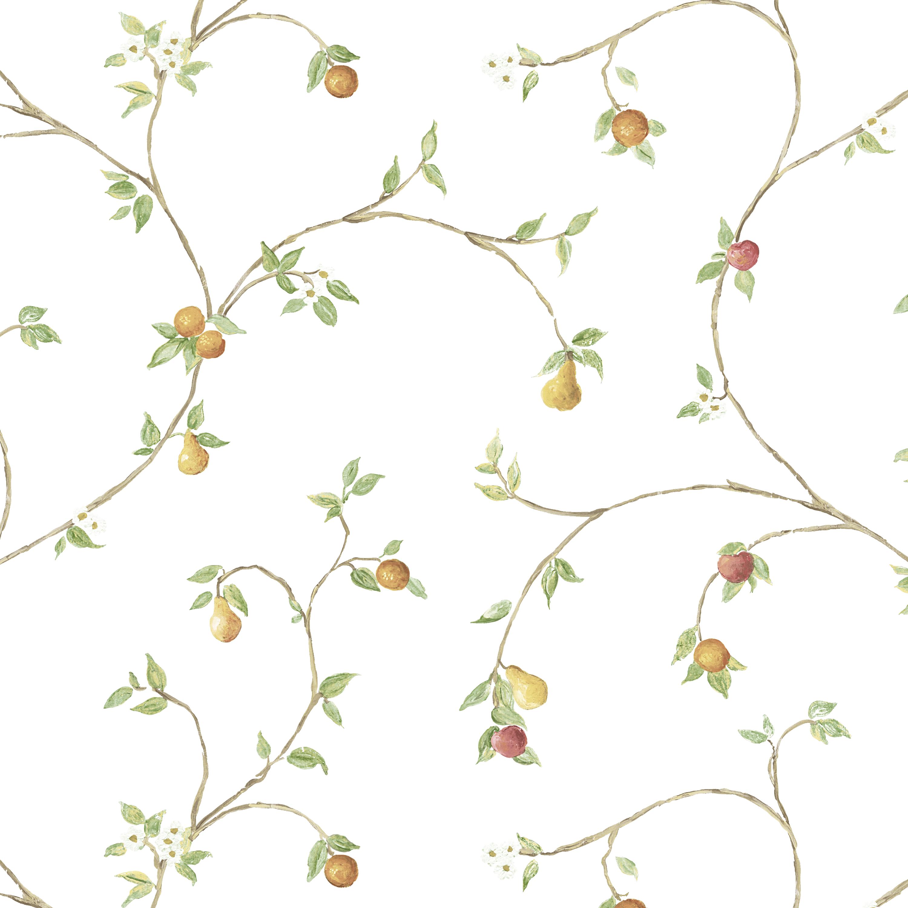 Обои Aura Creative Kitchens CK36607