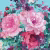 Панно Loymina Classic vol. II French bouquet V9 018 B4 1.8х2.5 м