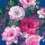 Панно Loymina Classic vol. II French bouquet V9 021 B3 3х2 м