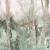 Панно Loymina Etude Thicket ETD6 005