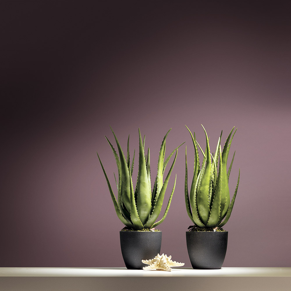 Обои Hygge Hg7 022 10,05×1 фото в интерьере