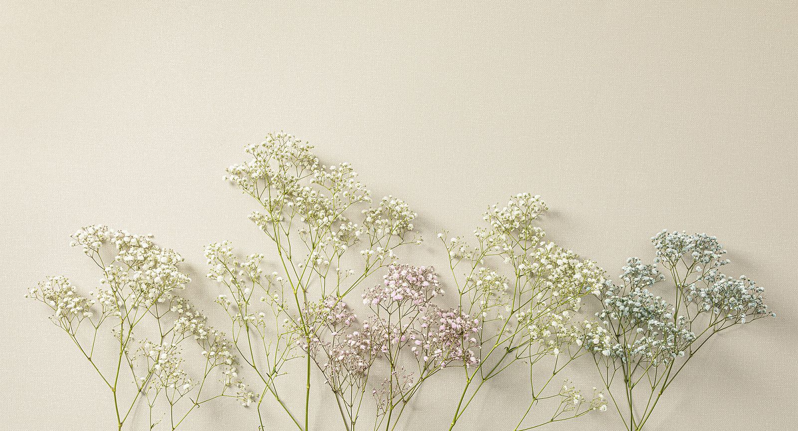 Обои Loymina Shade vol. 2 Tweed SDR1 002/2 фото в интерьере