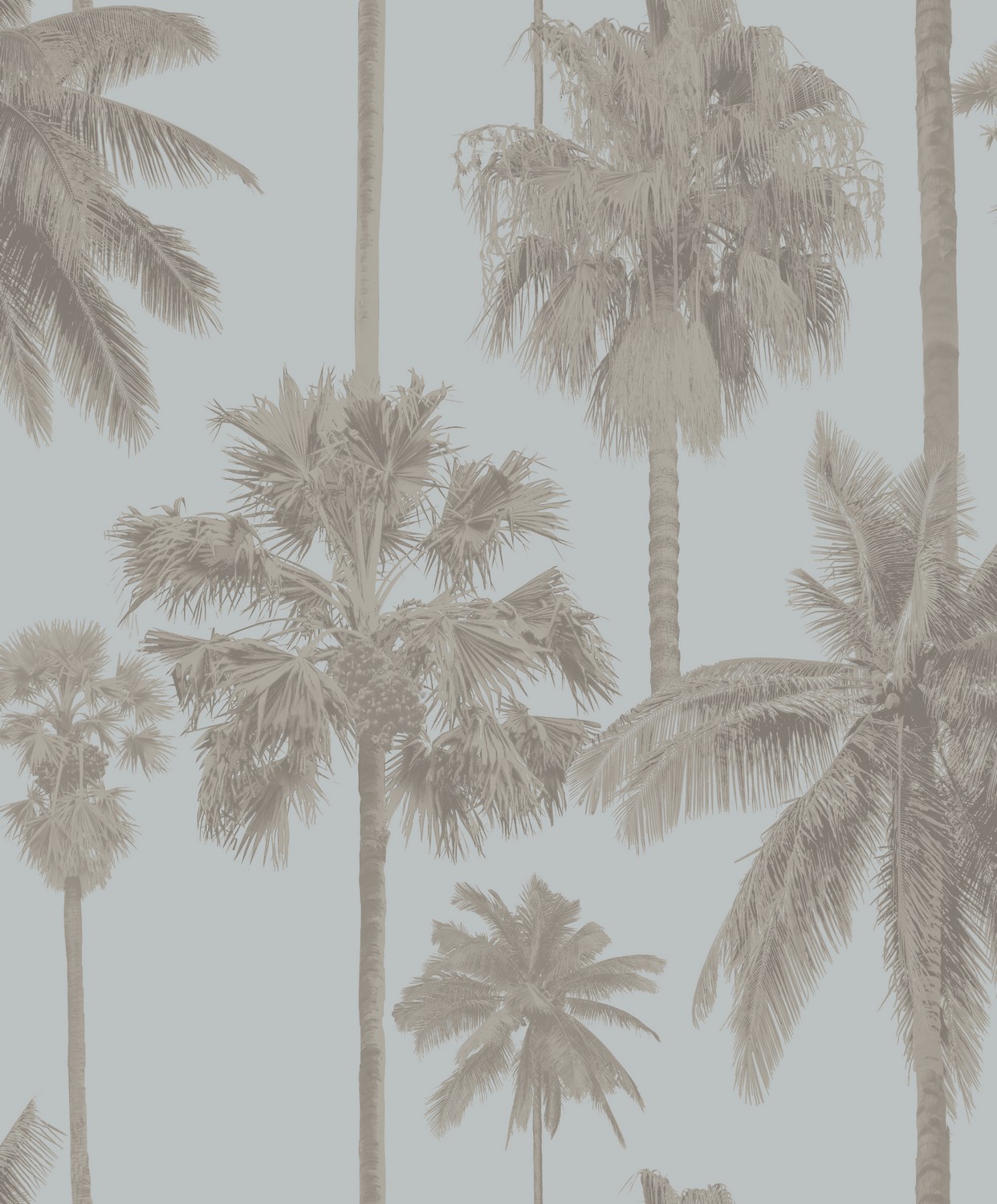 Обои Architector Malibu Coconut palms ML01414