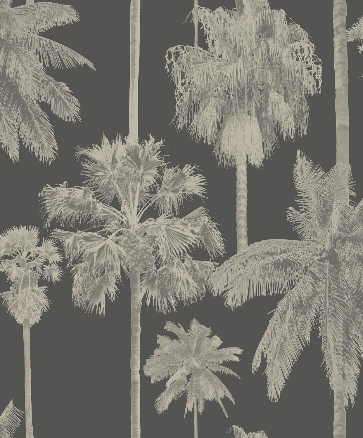 Обои Architector Malibu Coconut palms ML01416