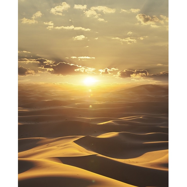 Панно Marburg Dune 32545 2,7х2,12 м